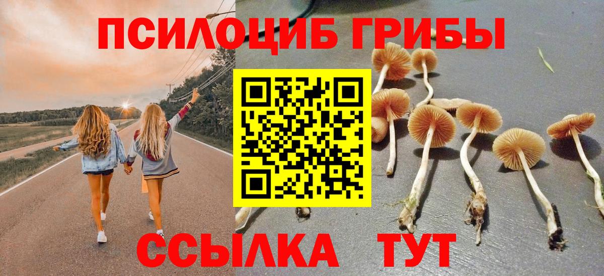 Галлюциногенные грибы ЛСД Гатчина