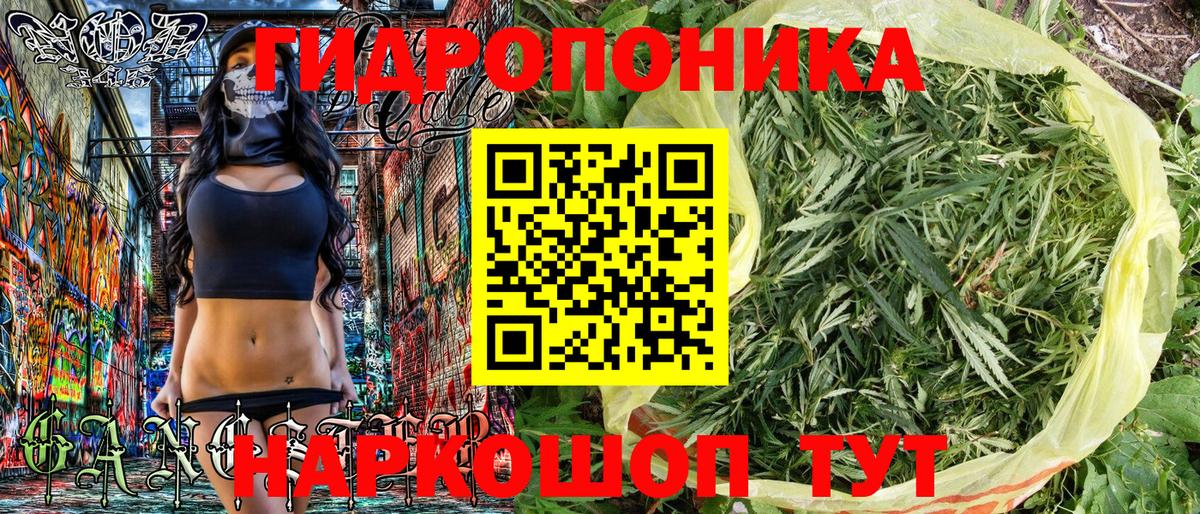 МАРИХУАНА SATIVA & INDICA Гатчина